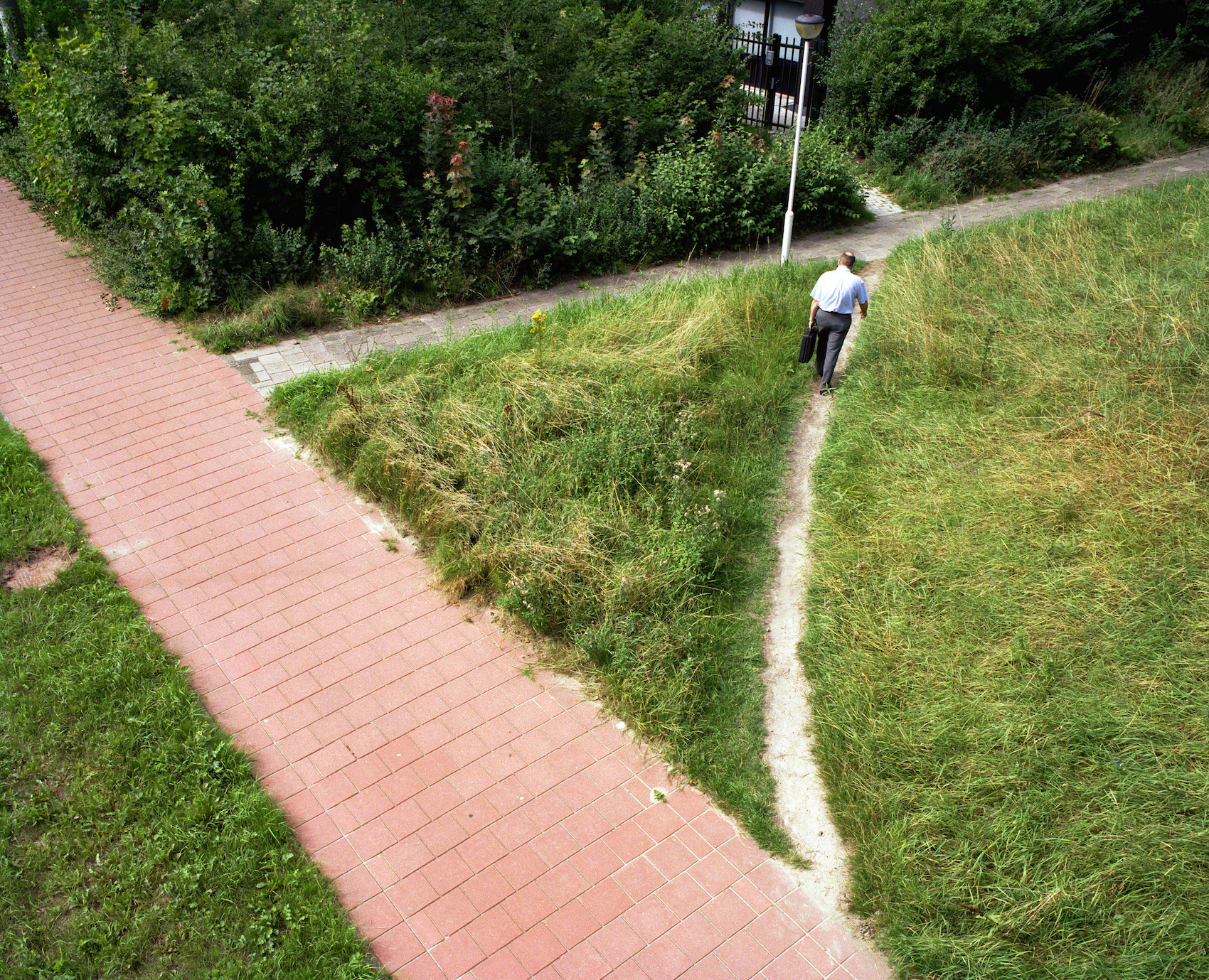 Aerial view of a winding path through green parkland